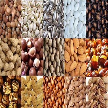 10-25-kg-electric-peanut-roaster-nut
