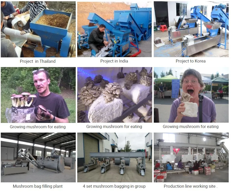 automatic mushroom substrate filling machine