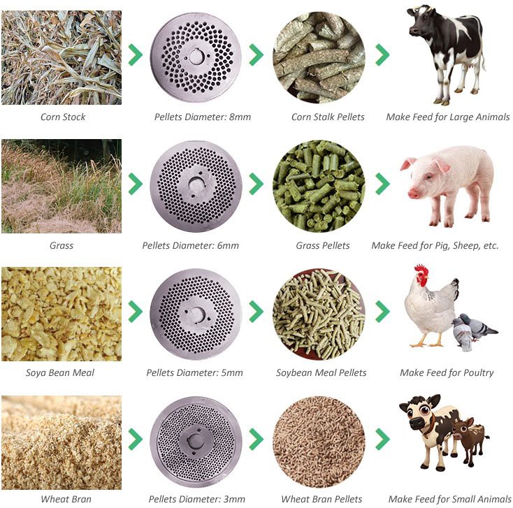 Chicken manure feed pellet making machine