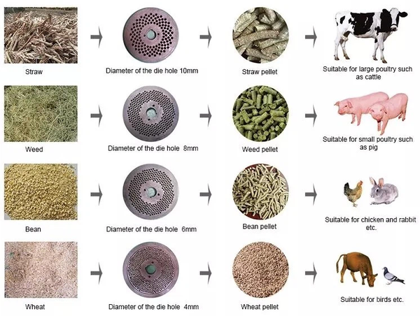 Finished product display Finished product display